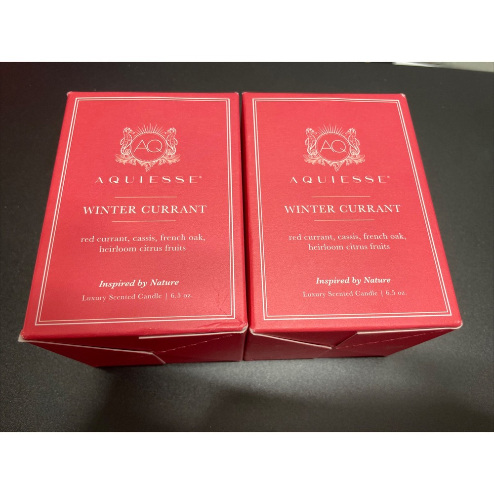 Aquiesse Winter Current 6.5oz Holiday Boxed Candles Made in USA Lot Of 2
